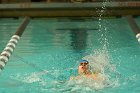 Swimming vs Bentley  Wheaton College Swimming & Diving vs Bentley College. - Photo by Keith Nordstrom : Wheaton, Swimming & Diving